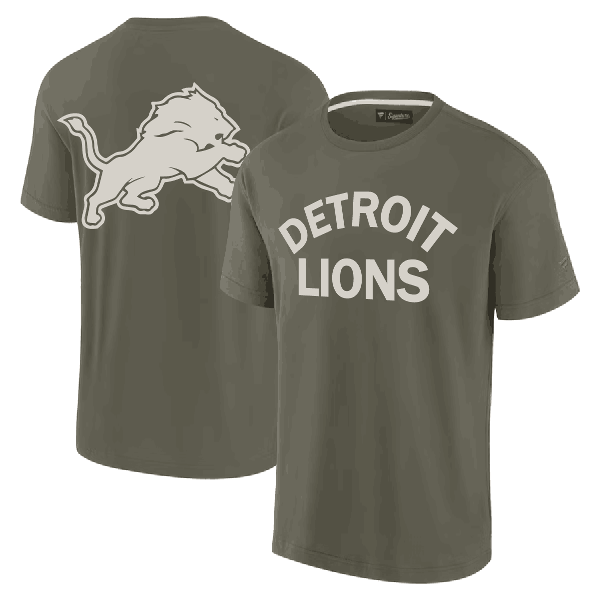 Men 2024 NFL Detroit Lions T shirts